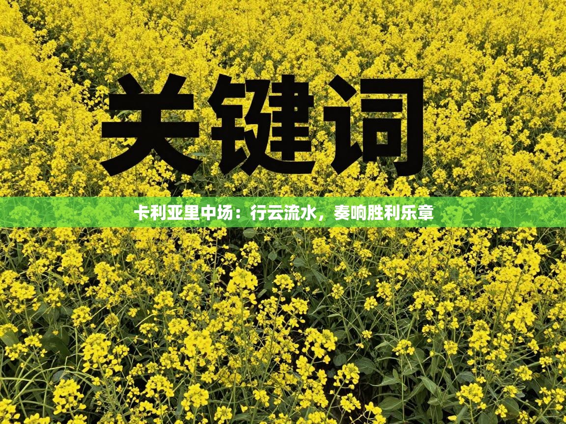 卡利亚里中场：行云流水，奏响胜利乐章